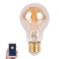 2 Years Warranty Glass LED Dimmable Bulbs, 5.5W 6.5W 7.5W Tuya Wifi E27 A60 LED Filament Bulb, CCT Adjustable Filament LED Bulb