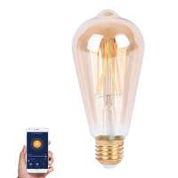 ST64 Dimmable Filament LED Bulb, CCT Adjustable LED Edison Bulb, 5.5W 6.5W 7.5W Filament Smart Blub LED