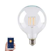 Amber Finishing LED G125 Vintage Filament Bulb E27 Base, 5.5W 6.5W 7.5W Phone Controle Dimmable G125 LED Globe Bulb